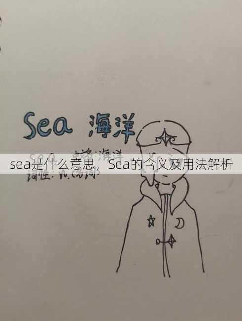 sea是什么意思