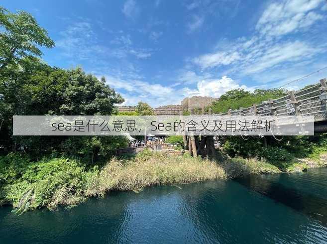 sea是什么意思