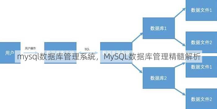 mysql数据库管理系统