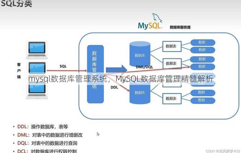 mysql数据库管理系统