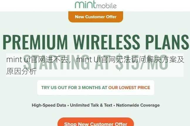 mint ui官网进不去