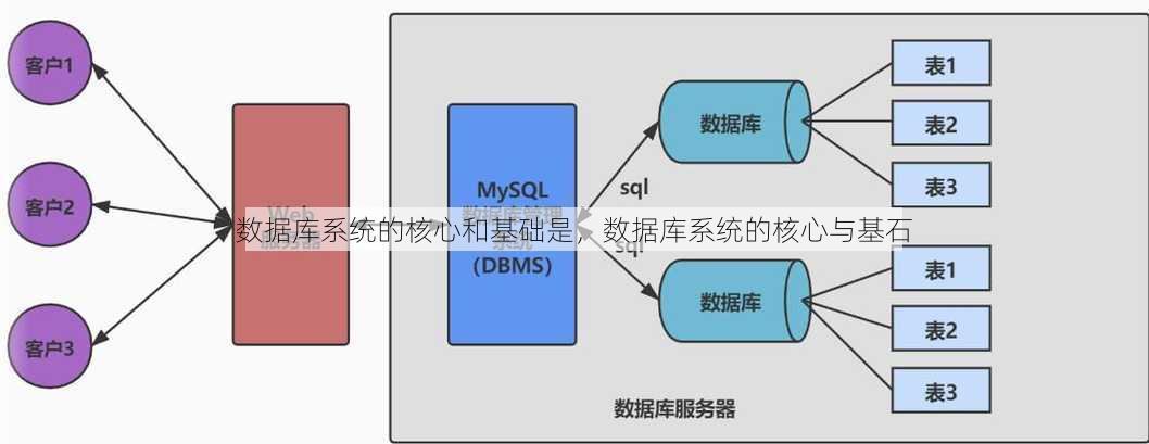 数据库系统的核心和基础是