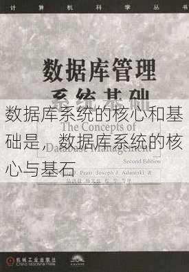 数据库系统的核心和基础是
