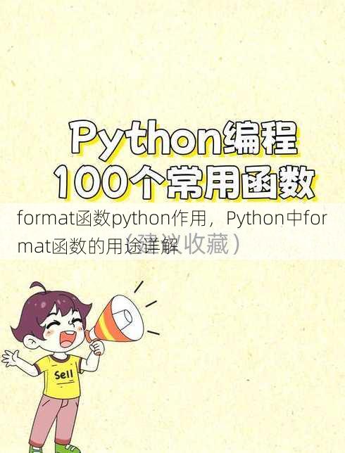 format函数python作用