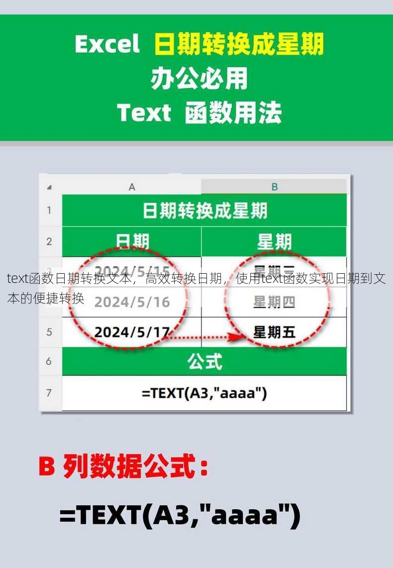 text函数日期转换文本