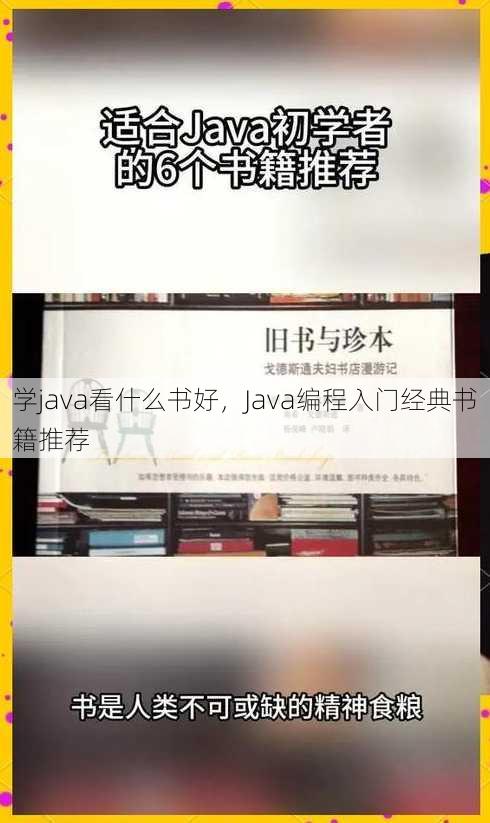 学java看什么书好