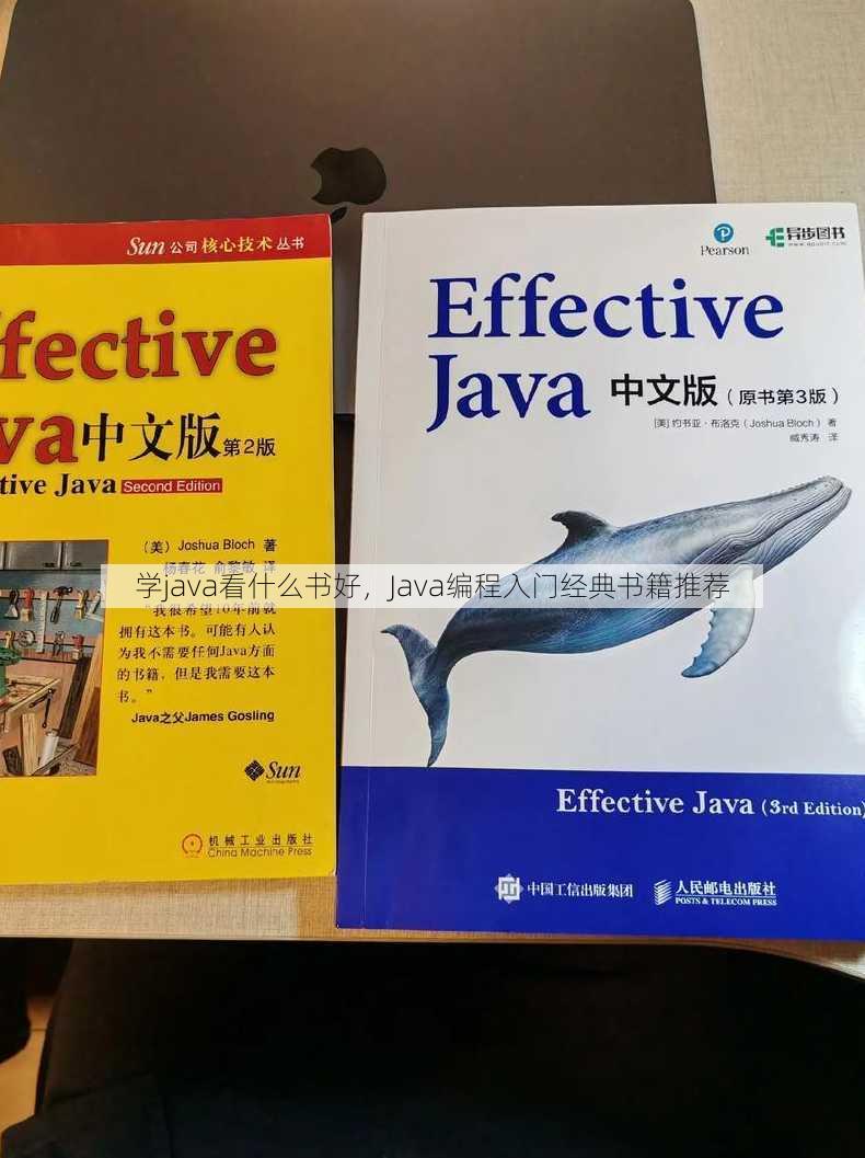 学java看什么书好