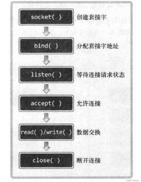 tcp的socket编程（tcp编程步骤）