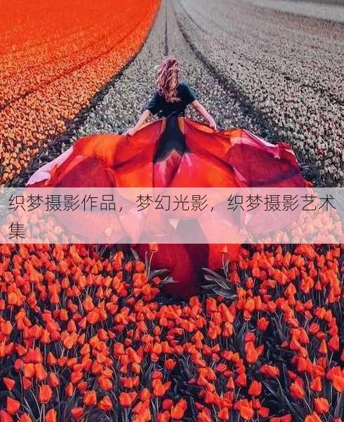 织梦摄影作品
