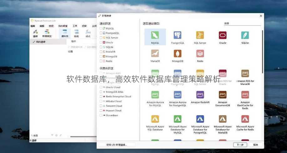 软件数据库
