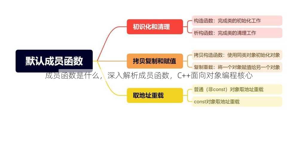 成员函数是什么