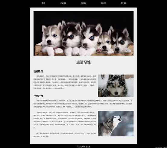 免费html静态网页下载（免费html静态网页下载）