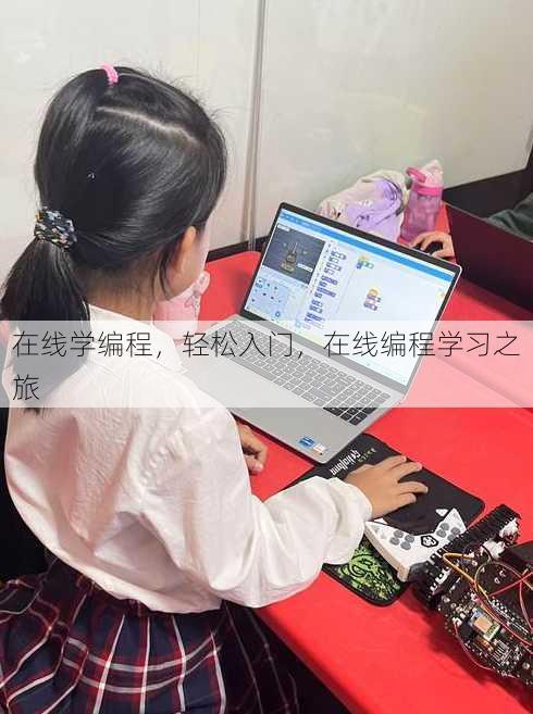 在线学编程