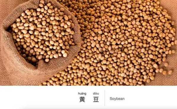 bean有什么特殊含义（bean的理解）
