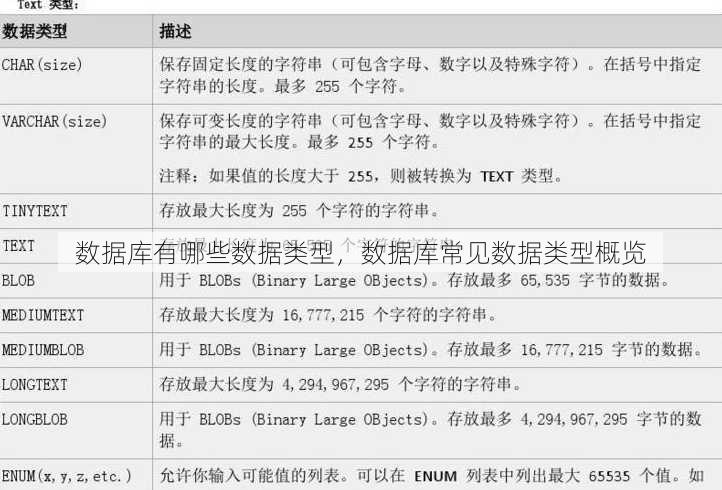 数据库有哪些数据类型