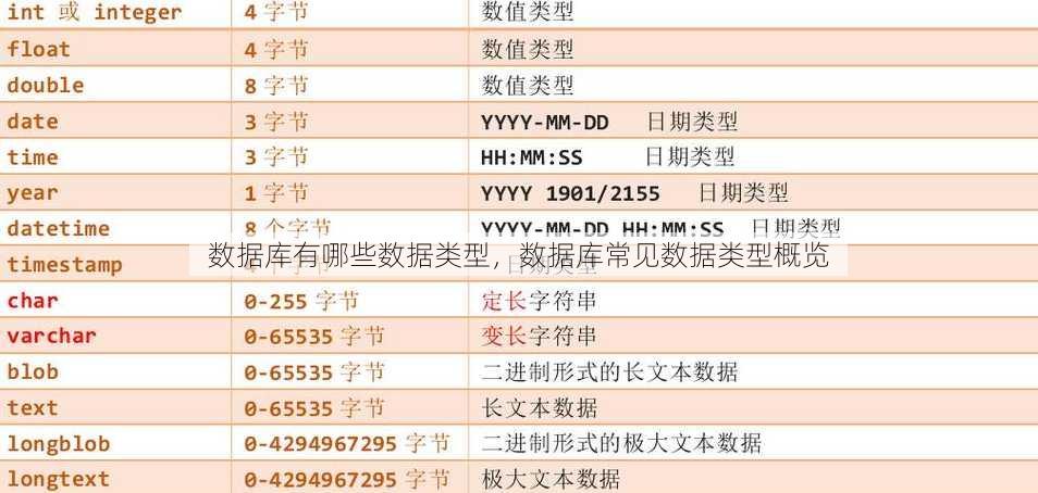 数据库有哪些数据类型