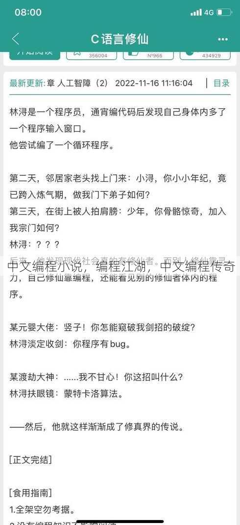 中文编程小说