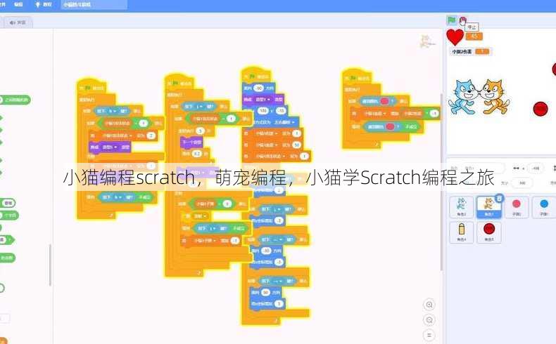 小猫编程scratch
