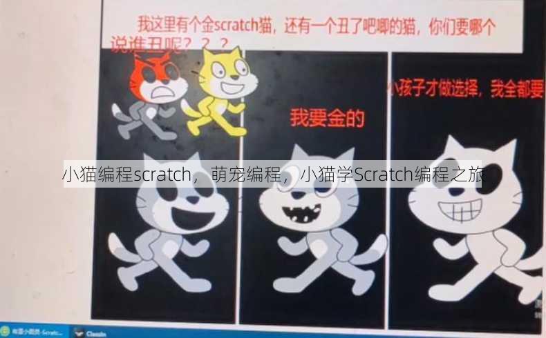小猫编程scratch