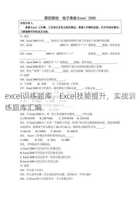 excel训练题库