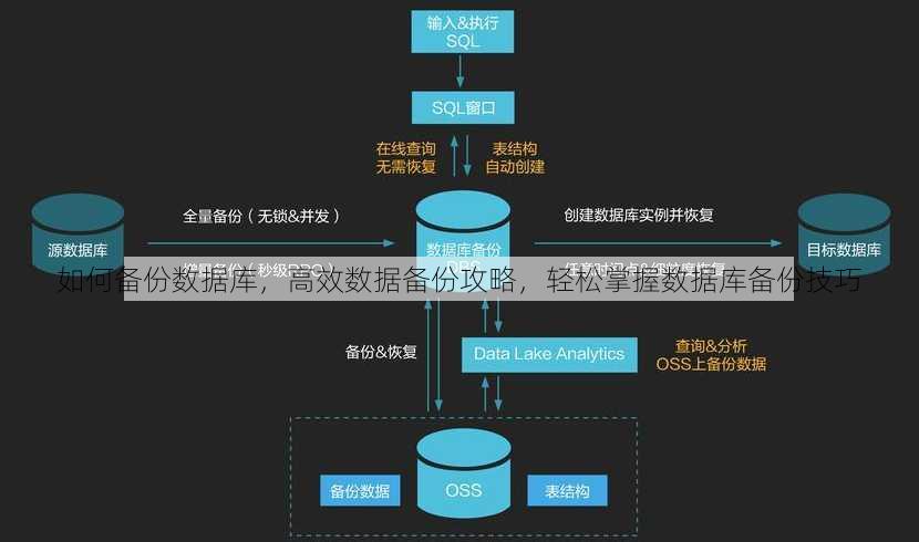 如何备份数据库