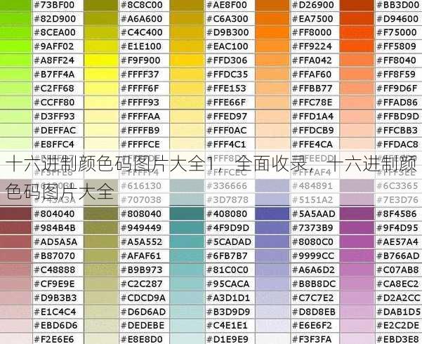 十六进制颜色码图片大全1