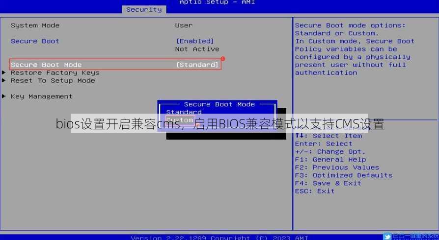 bios设置开启兼容cms