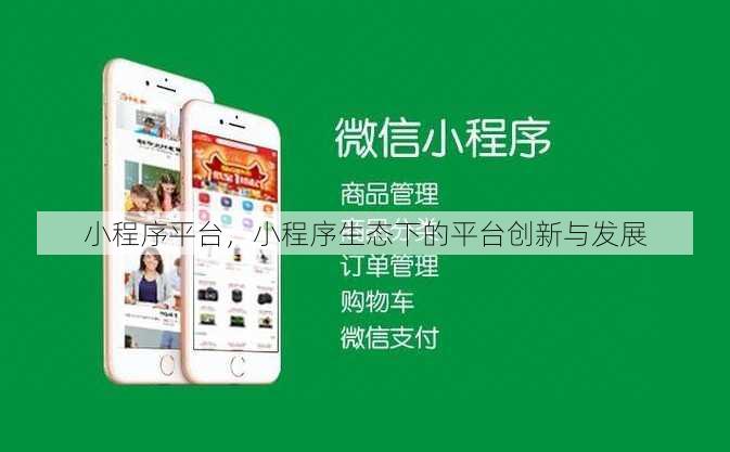 小程序平台