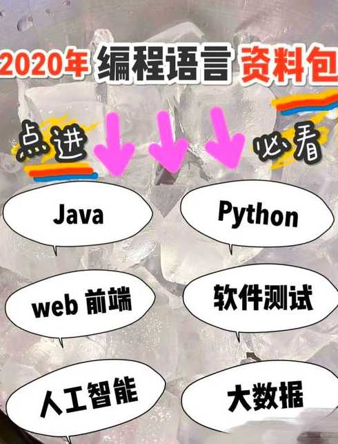 自学编程必备知识（自学编程入门）