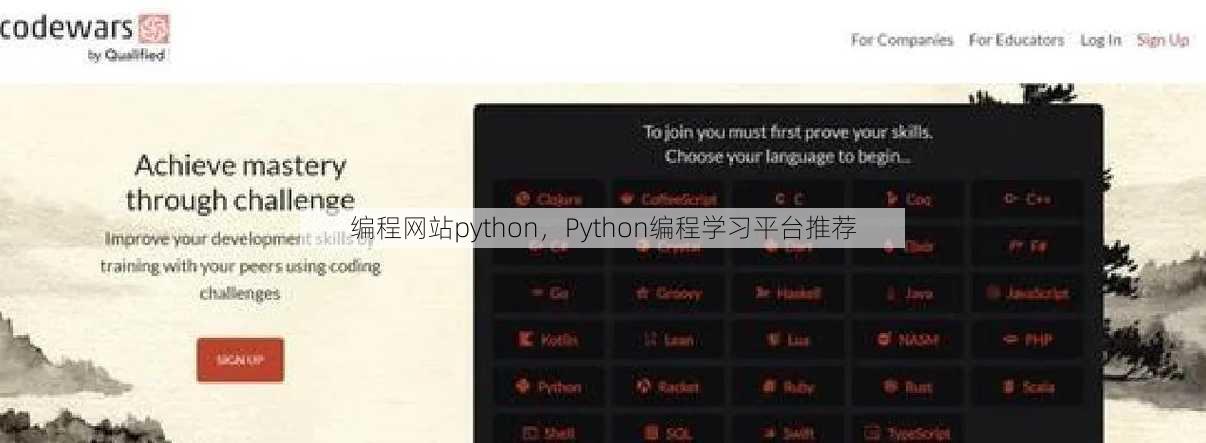 编程网站python