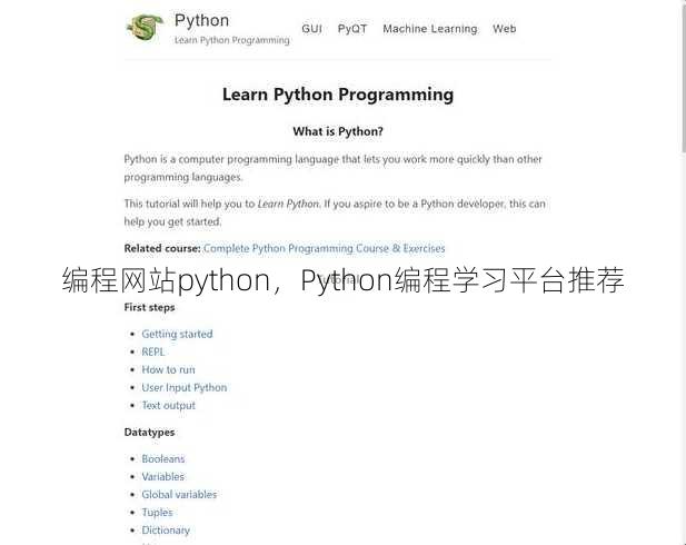 编程网站python