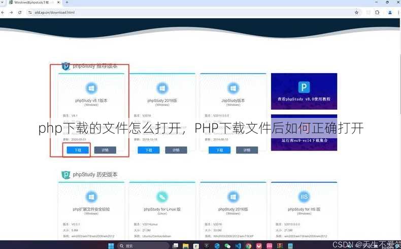php下载的文件怎么打开