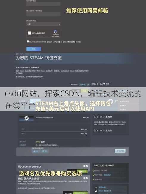csdn网站