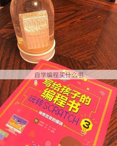 自学编程买什么书
