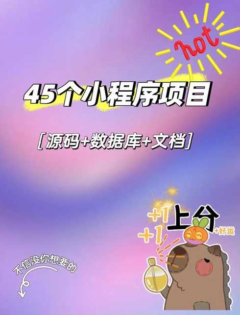 正版小程序源码（正版小程序源码下载）