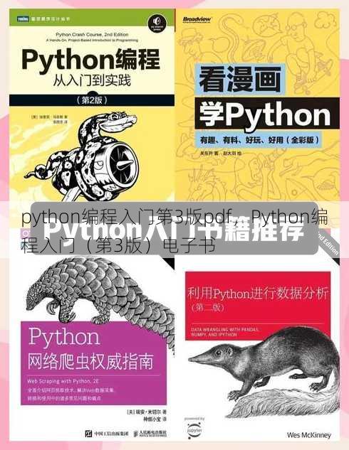 python编程入门第3版pdf