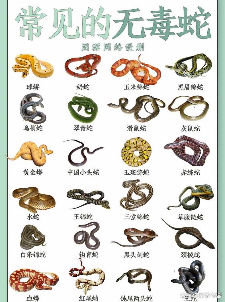 爬虫的分类（爬虫分类的选择题）