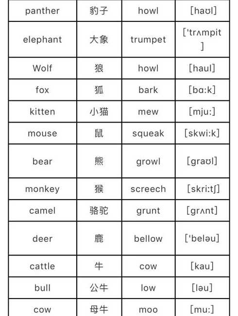 width的读音（wild的读音怎么读音）