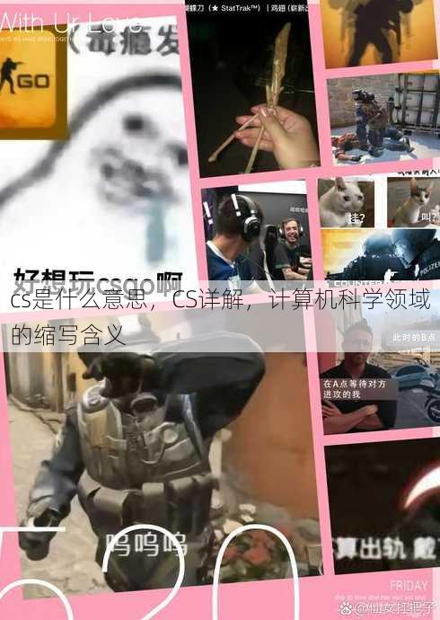 cs是什么意思