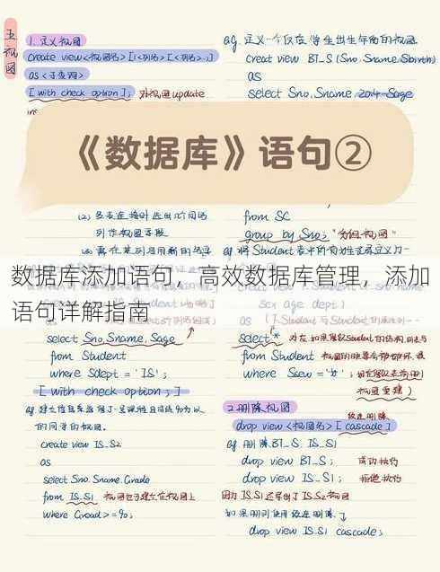 数据库添加语句