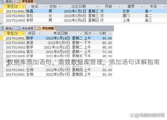 数据库添加语句