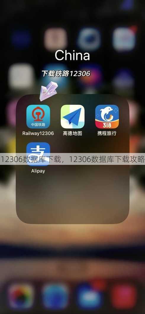 12306数据库下载