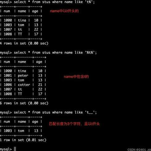vfp编程软件手机版（vfp怎么写程序）