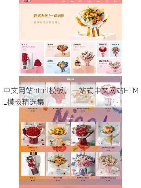 中文网站html模板