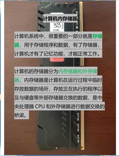 内存数据库将数据保存在哪里（内存中的数据库）