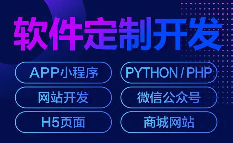 平台软件定制开发（软件产品定制开发）