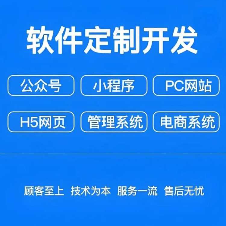 平台软件定制开发（软件产品定制开发）