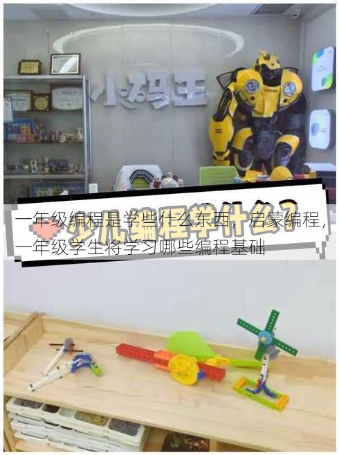 一年级编程是学些什么东西