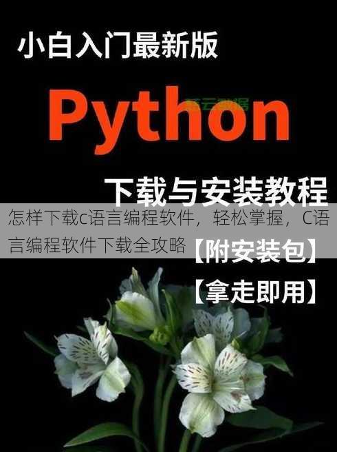 怎样下载c语言编程软件
