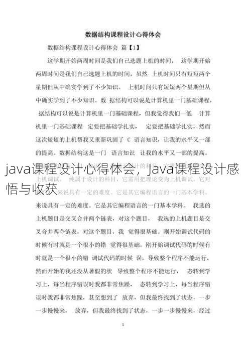 java课程设计心得体会